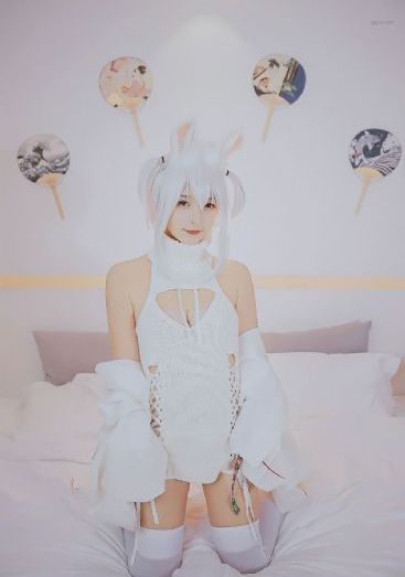 泰迪熊