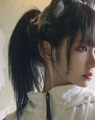 与君诀